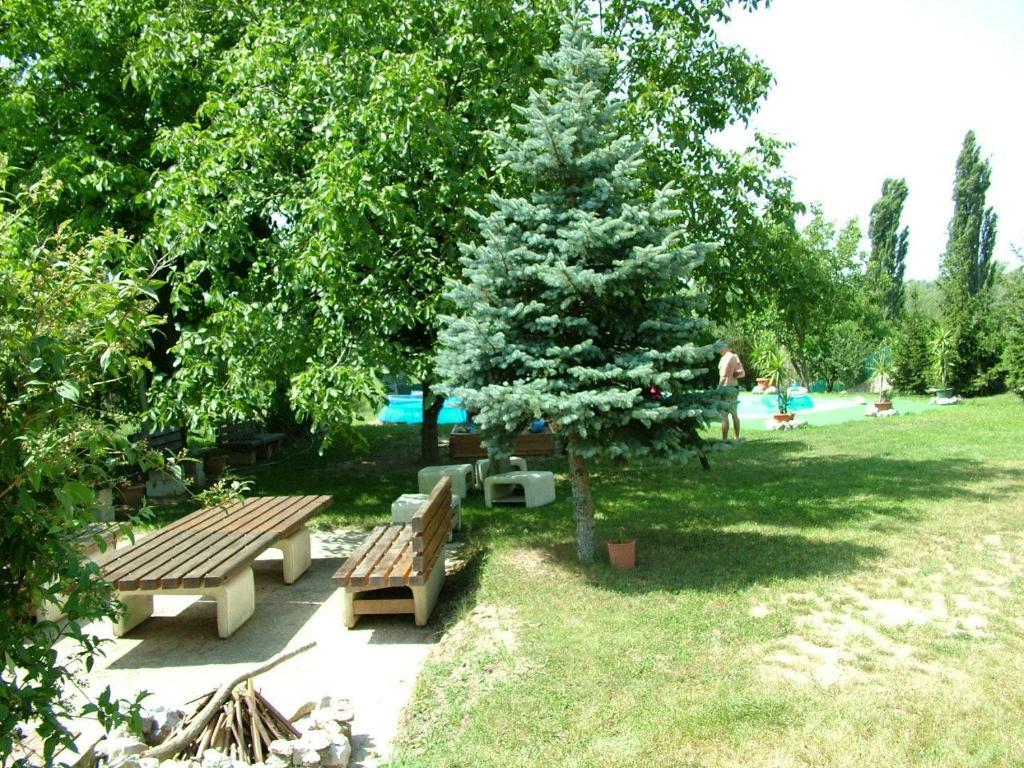 Zoldhaz Bio Panzio Hotel Gyenesdiás Exterior foto